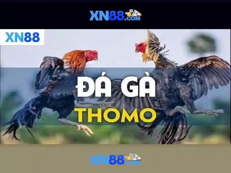 💎người sống ở bắc cực💎