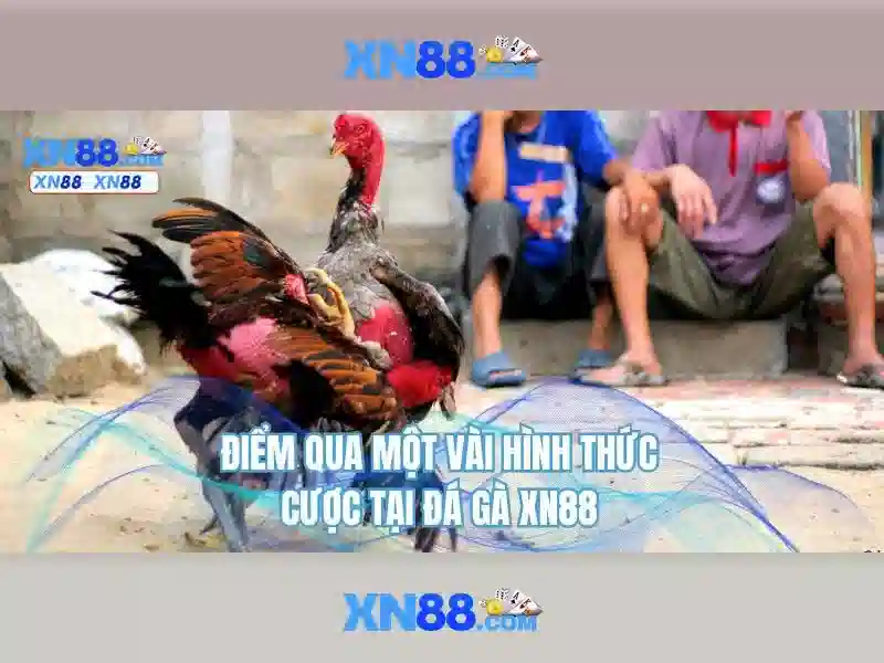 💎ty le ca cuoc bong 88💎