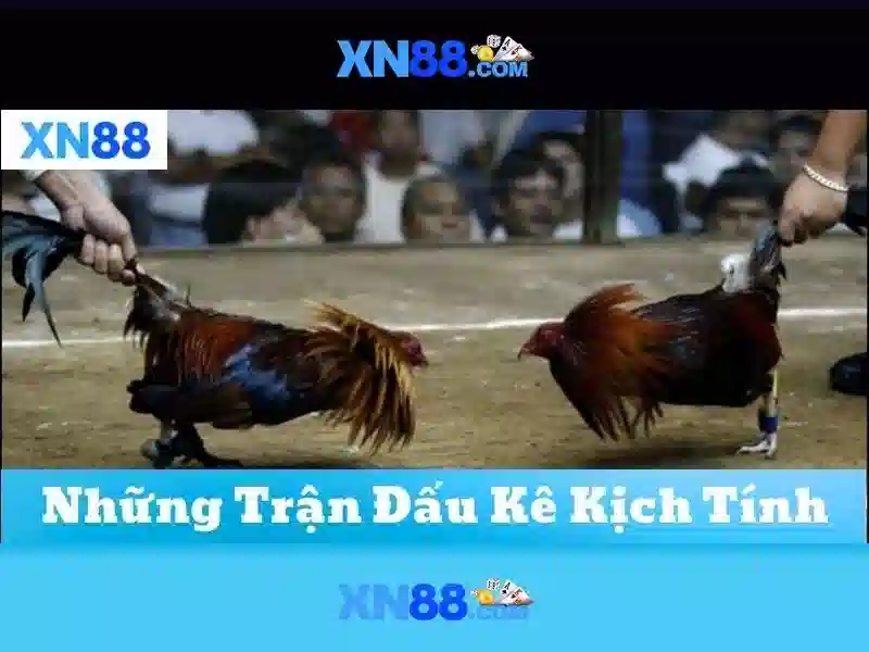 💎nhà cái uy tín 107💎