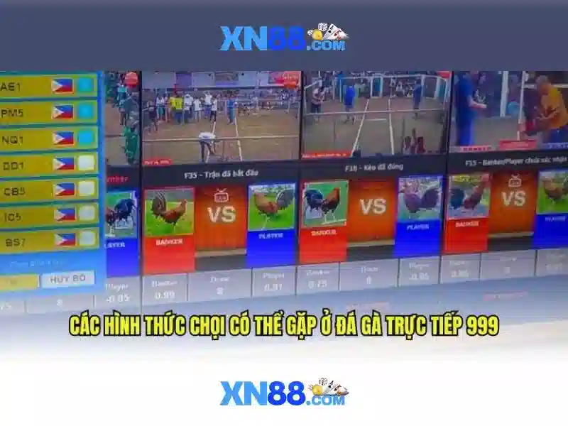 💎xem bong da nha cai💎