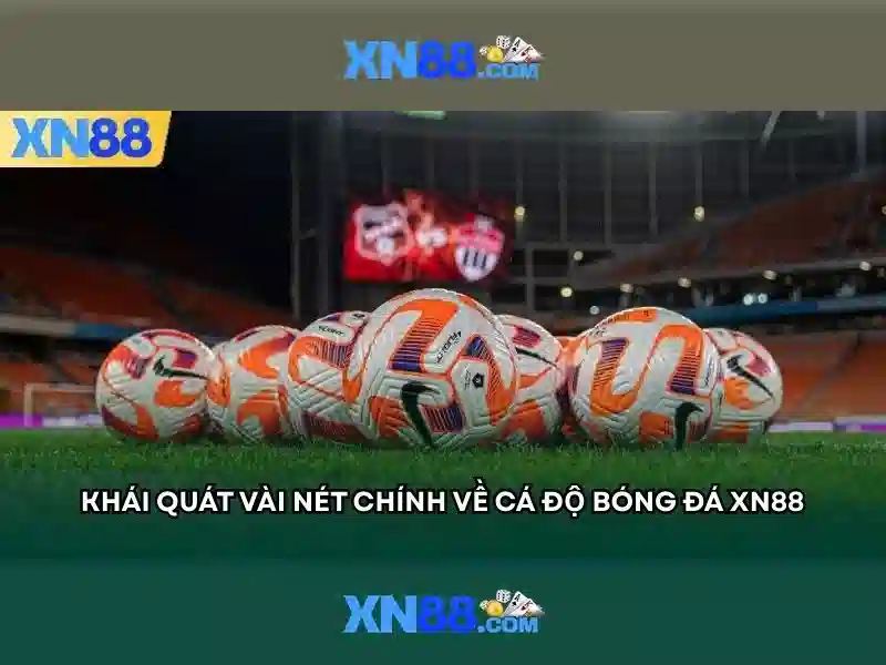 💎trang web cá cược trực tuyến💎