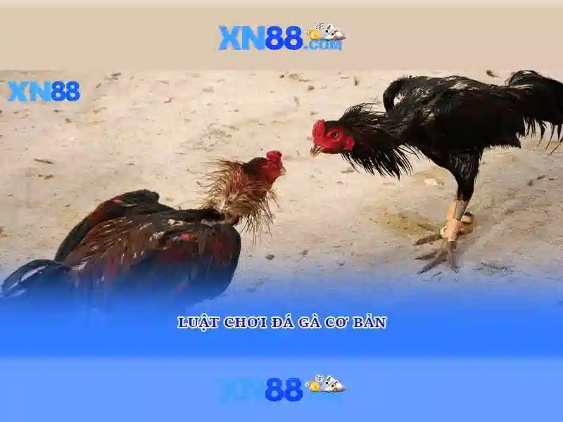 💎demo slot apk💎