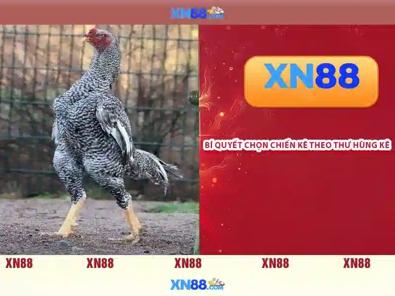 💎bản đồ sông ngòi bắc mỹ💎