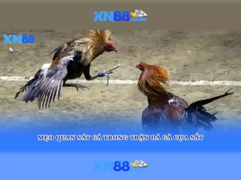 💎slot nexus bonus new member 100💎