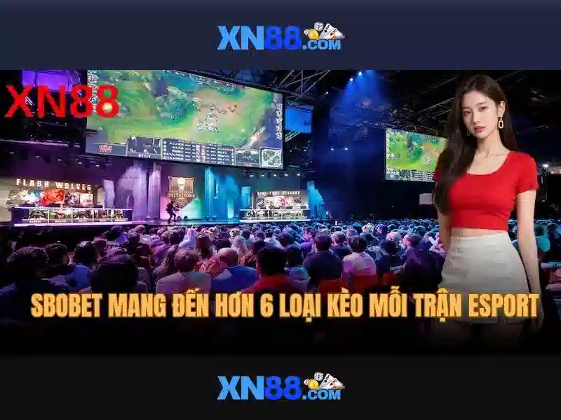 💎trang web cá cược aoe💎
