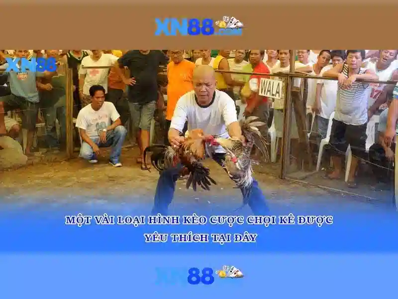 💎101 hb88 casino💎