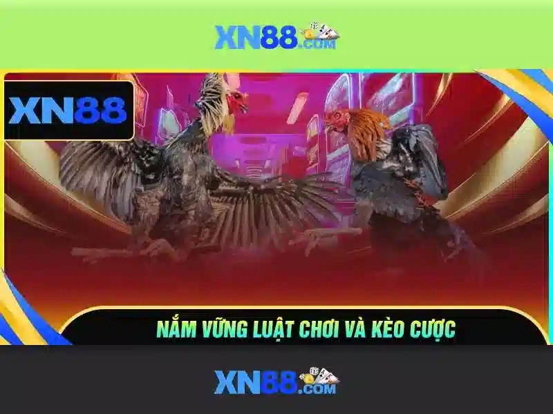 💎kiểu nhà cái hôm nay💎