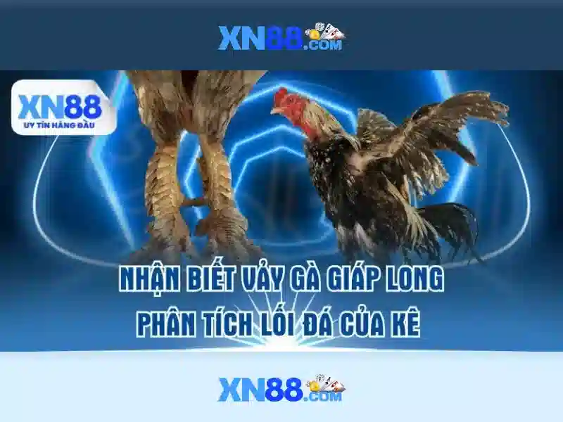 💎hi88 nhà cái hàng đầu châu á💎