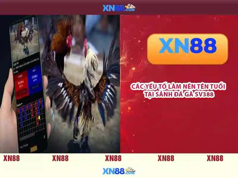 💎online free slot💎