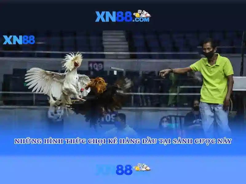 💎free game hb88💎