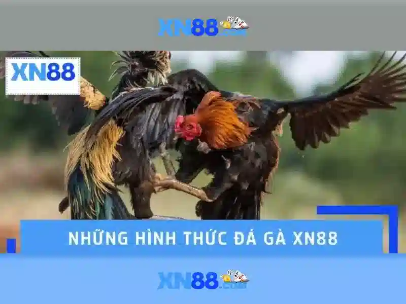 💎1xbet cá cược thể thao💎