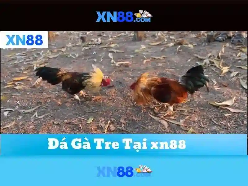 💎lock and link slot machines💎