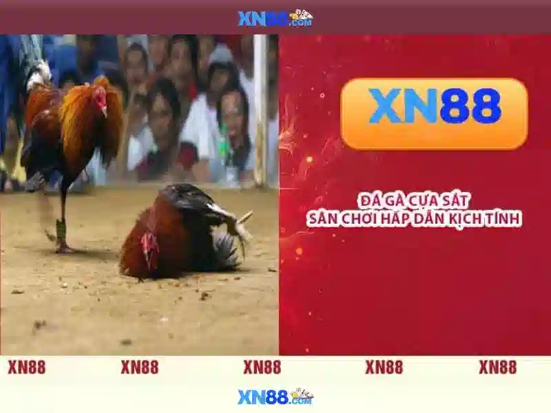 💎888slot com login app💎