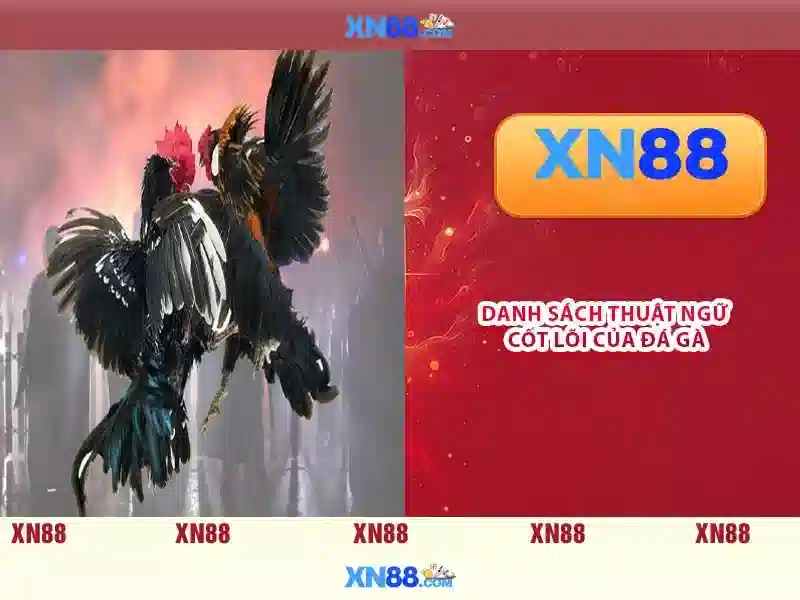 💎kèo nhà cái nam phi💎