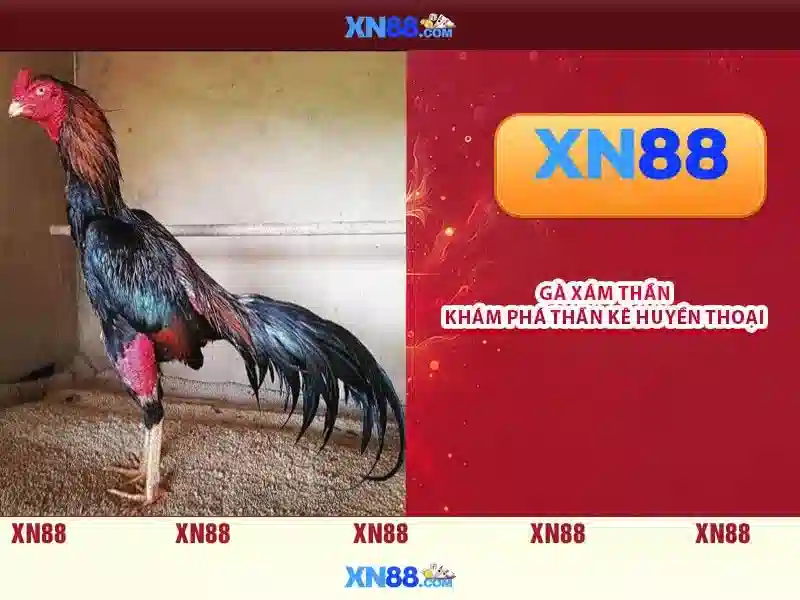 💎kèo nhà cái vòng loại world cup💎