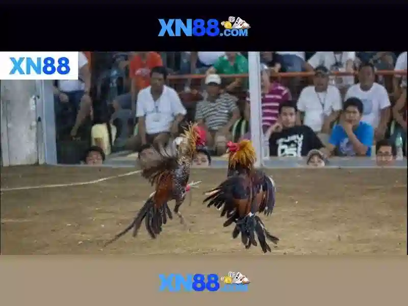 💎kèo nhà cái 8💎