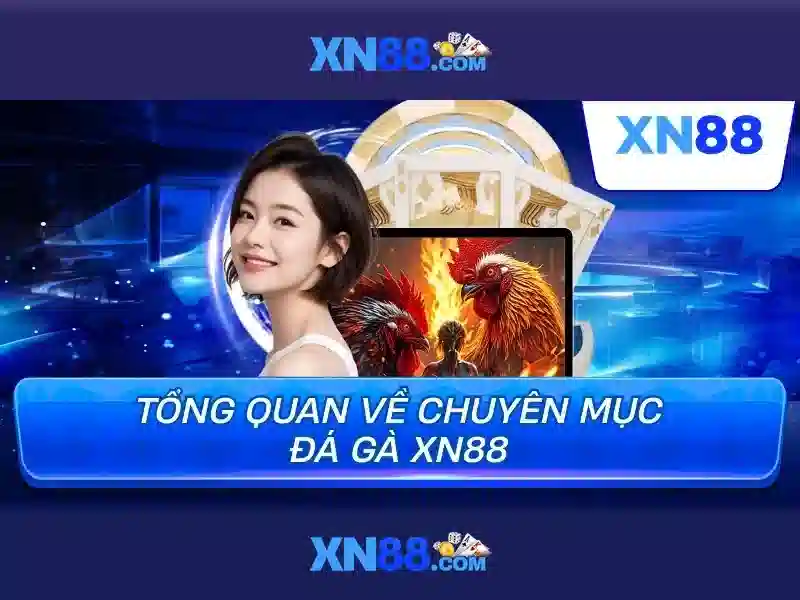  rút tiền nhanh - XN88