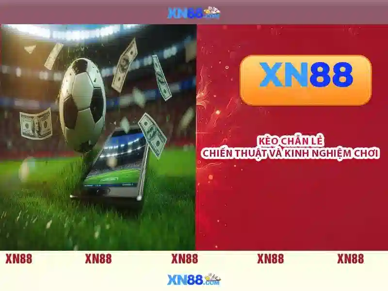 💎nhà kèo cái hôm nay💎