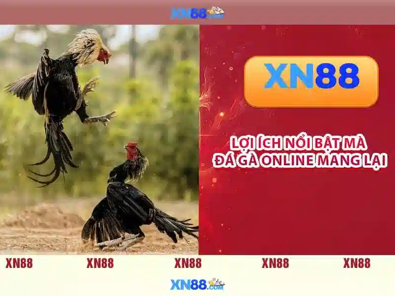 💎blade and soul character slots💎