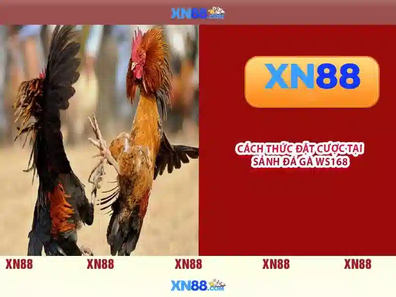 💎nhà cái uybtins💎