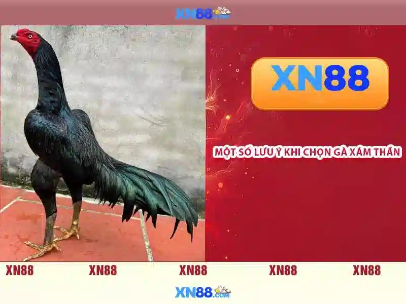 💎how to open a slot machine💎