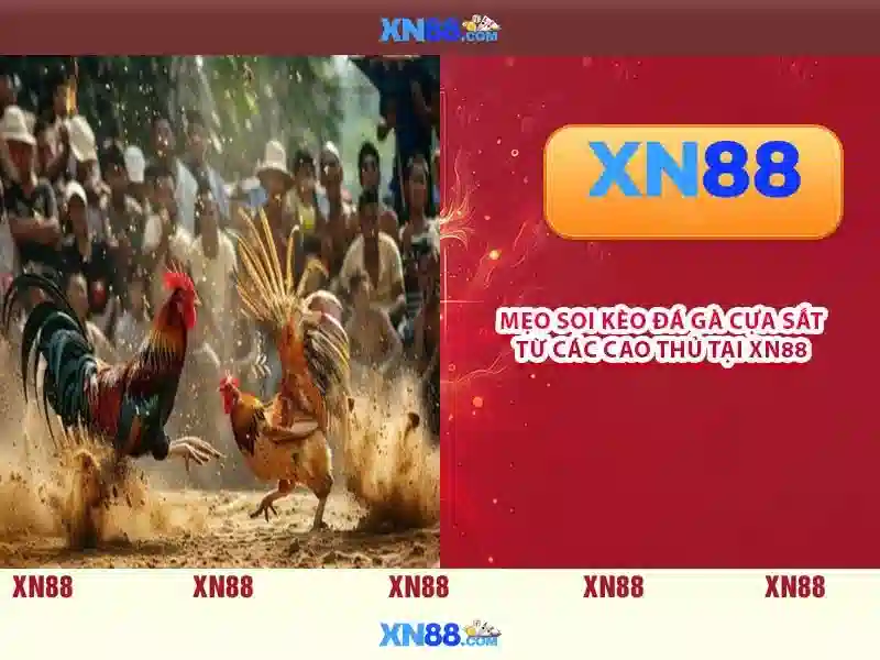  rút tiền XN88 - XN88