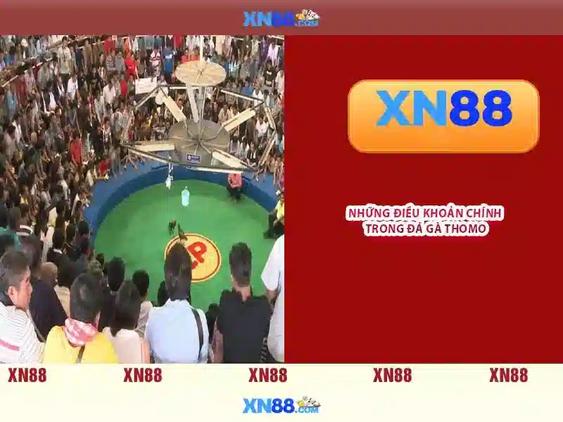 💎vụ đánh bạc sân golf💎