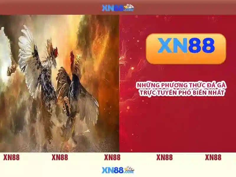  giải quyết sự cố - XN88