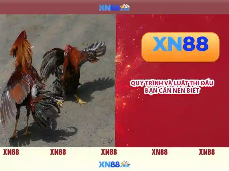 💎slots gratis cleopatra💎