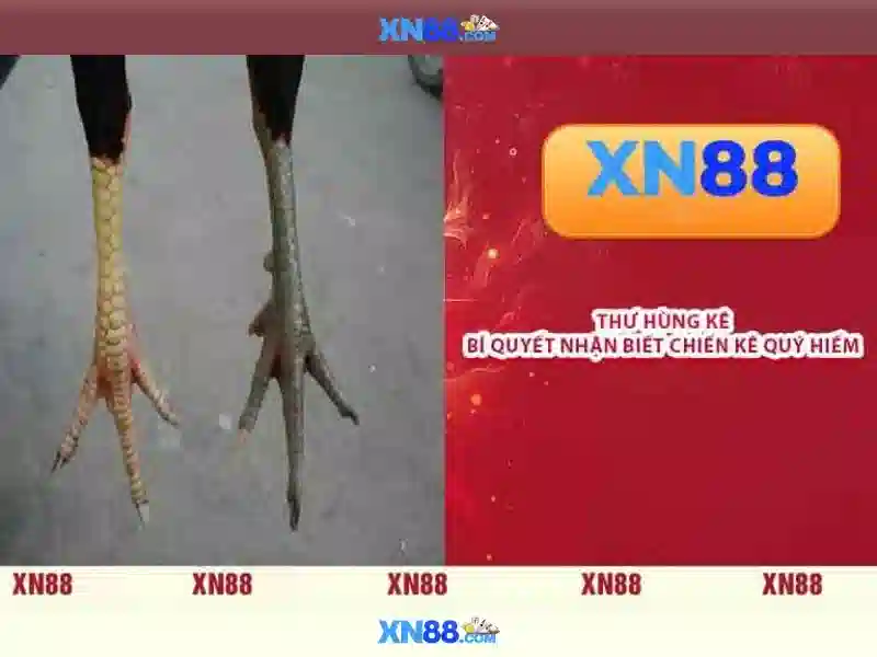 💎trận bóng đá m88 kèo nhà cái💎