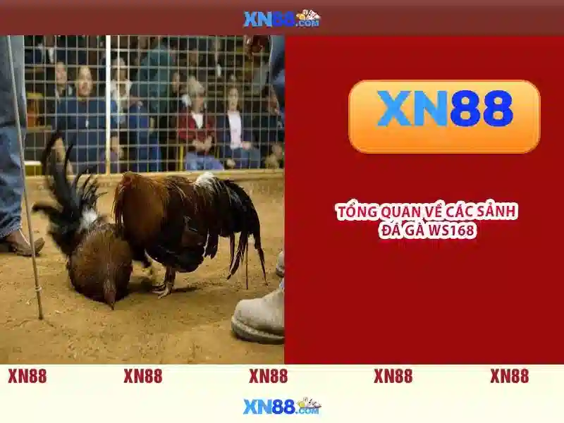 💎mk slot 888💎 - slot game 888slot - 888slot cc