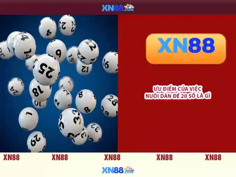 XN88 – Khám Phá Các Sảnh Slot Đỉnh Cao Và Ưu Đãi Đặc Biệt 2026 - XN88