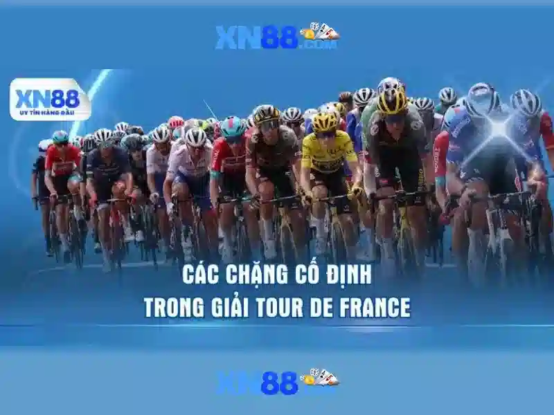 💎bet nhà cái💎