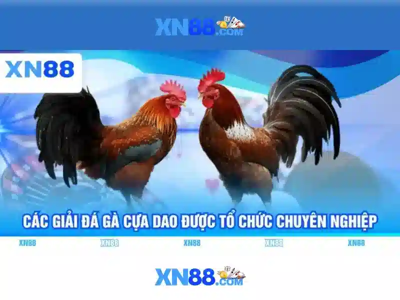 💎nhà cái hoa kỳ💎