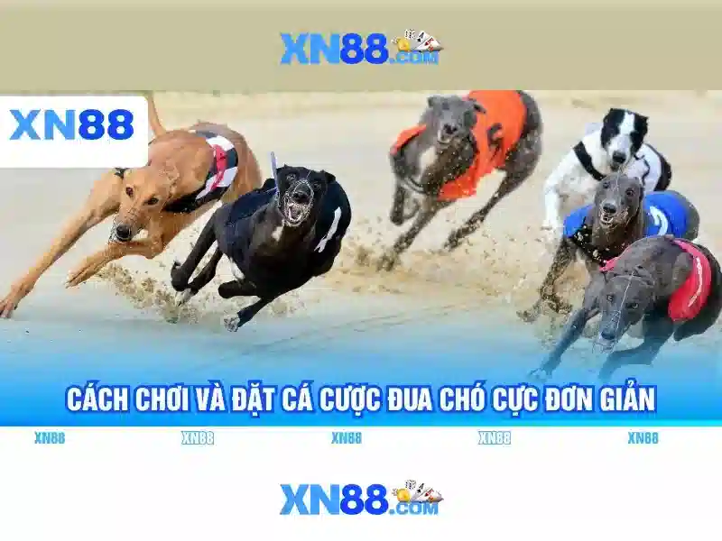 💎phoenix slot machines💎