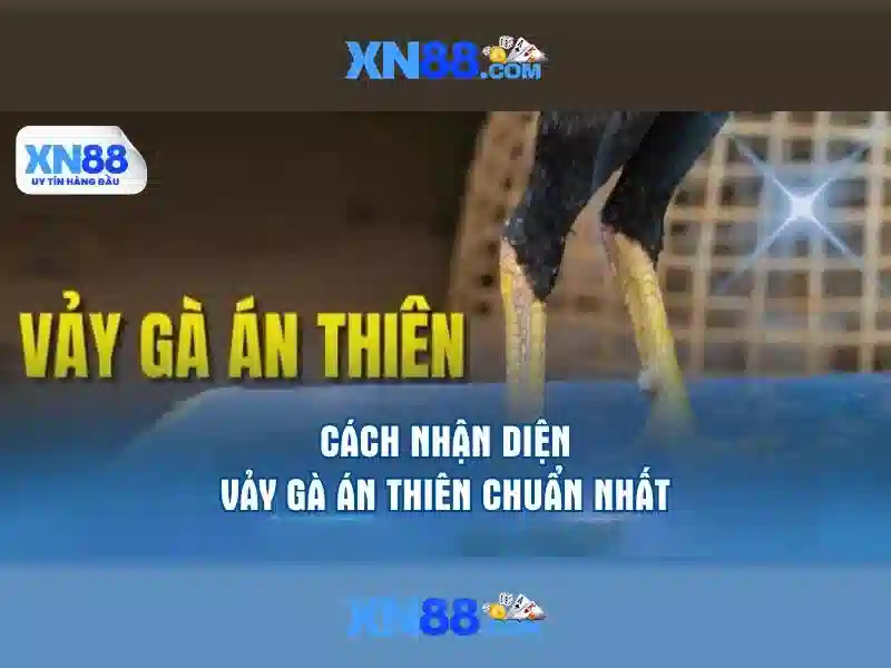 xổ số miền nam - XN88