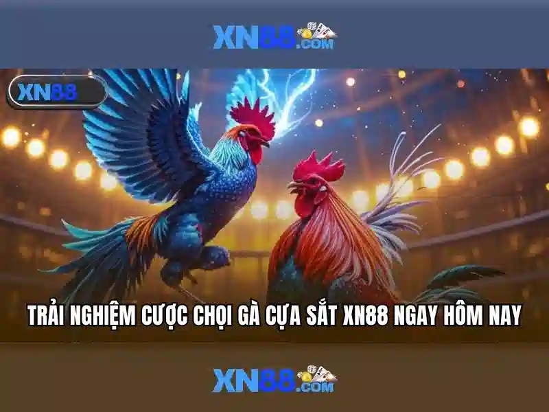 💎kèo độ nhà cái💎