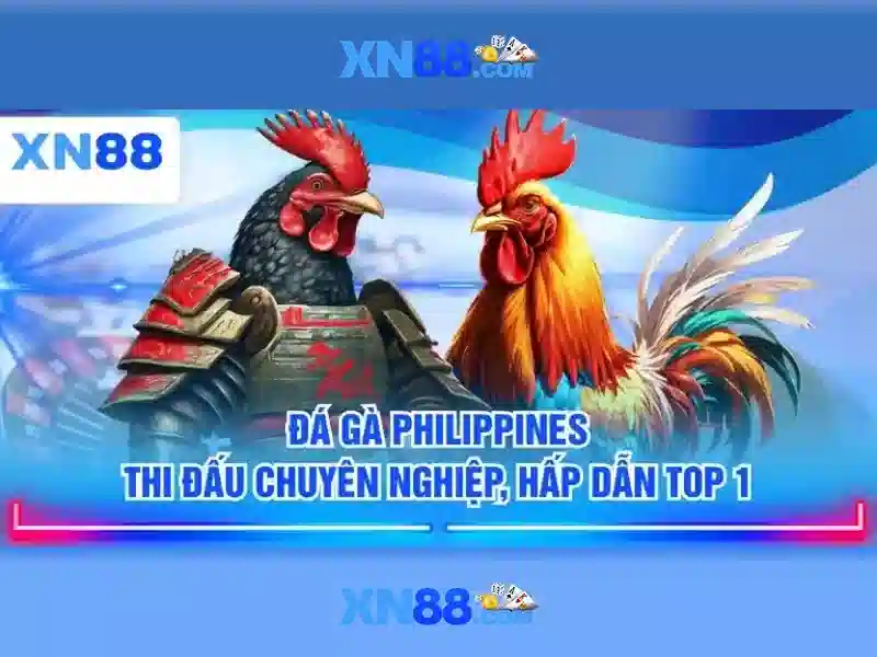 💎nd bd keo nha cai💎