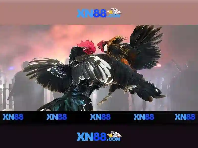 💎keo nha cai ketop💎