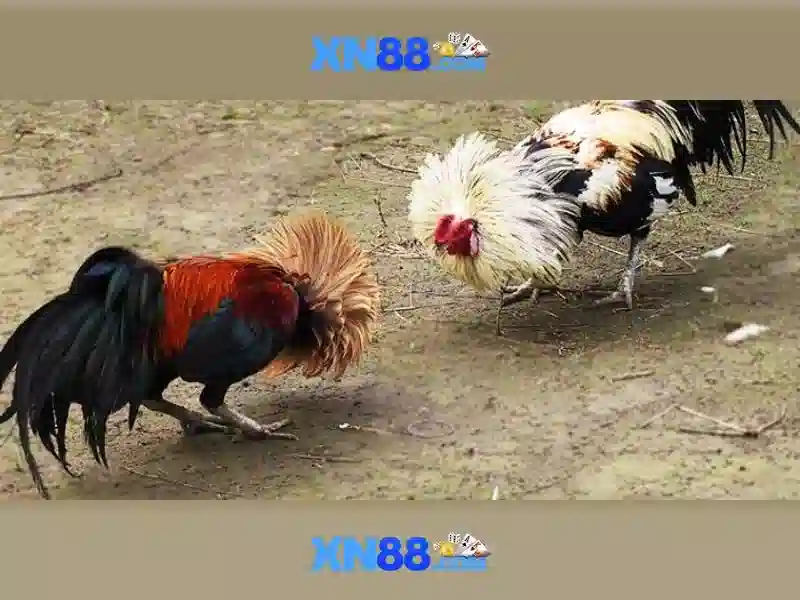 💎888 slot hiện đang mở💎