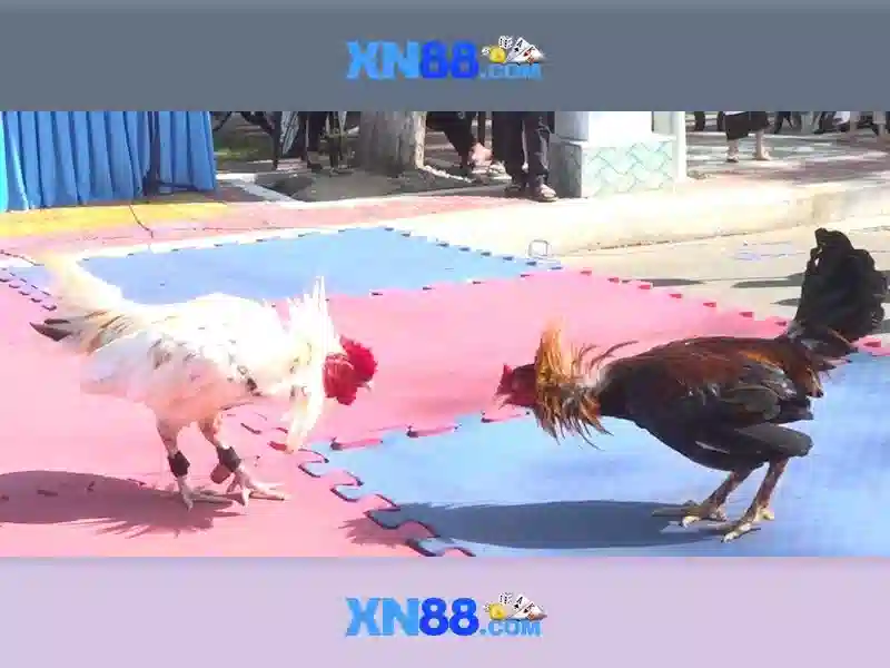 💎bác sĩ bị người nhà bệnh nhân đánh💎