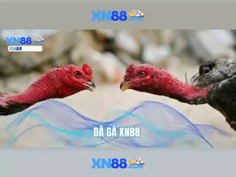 💎nha cai uy tin.vote💎