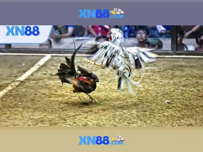 💎slot significado💎