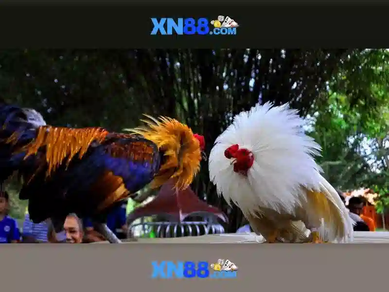 💎top nhà cái casino uy tín tai app💎