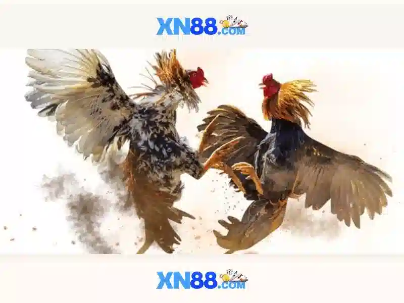 💎fishing hb88💎