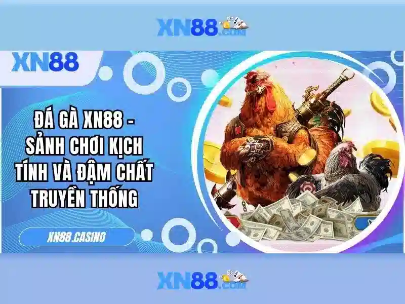 💎tỷ số bóng đá và tỷ lệ cá cược💎