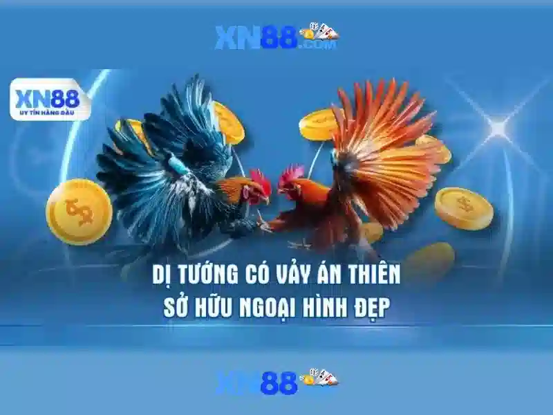 💎trang cá cược bóng đá cacuoc88💎