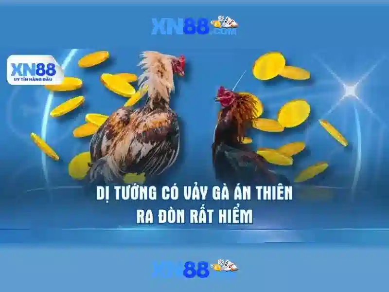 💎nhà cái sun city lừa đảo💎