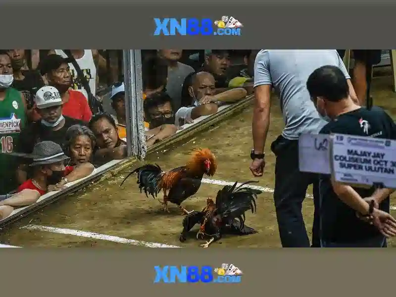 💎69vn-888 slot slots💎