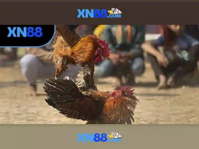 💎theme park tickets fortune slot💎